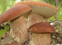 Сколько жарить белые грибы